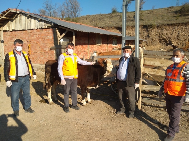 Kaymakamlığın Yardım Hattını Aradı, Söyledikleri Görevlileri Şaşırttı