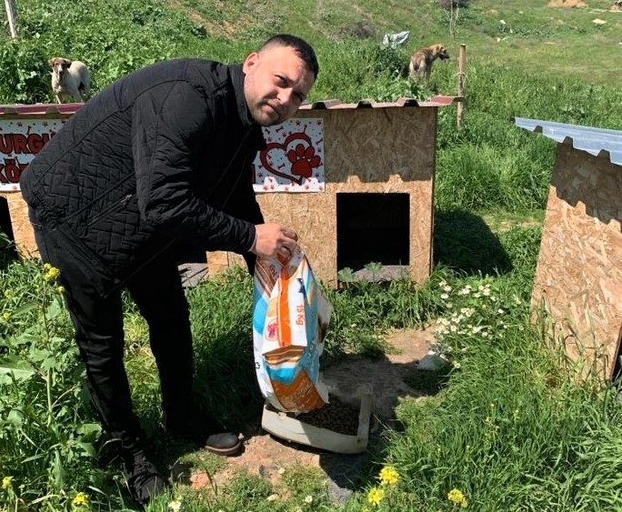 Turgutlu Belediyesi Sokak Hayvanlarını Unutmadı