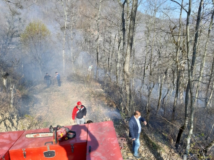 Türkeli’de Orman Yangını