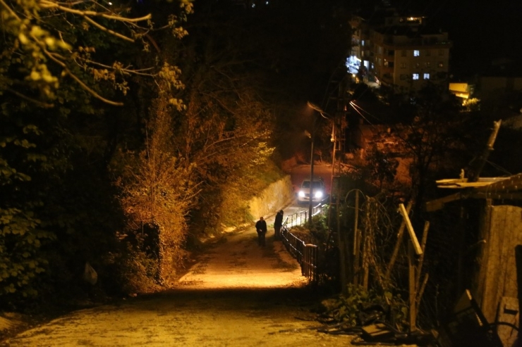 Şehre İnan Ayılar Ortalığı Birbirine Kattı