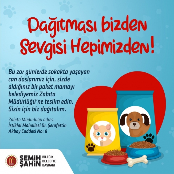 Bilecik’te Sokak Hayvanları İçin Anlamlı Kampanya