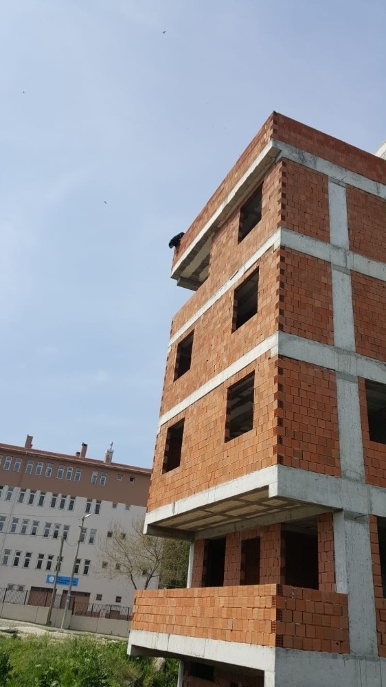 Boş İnşaatın Çatısına Çıkan Köpek Düşmekten Son Anda Kurtarıldı