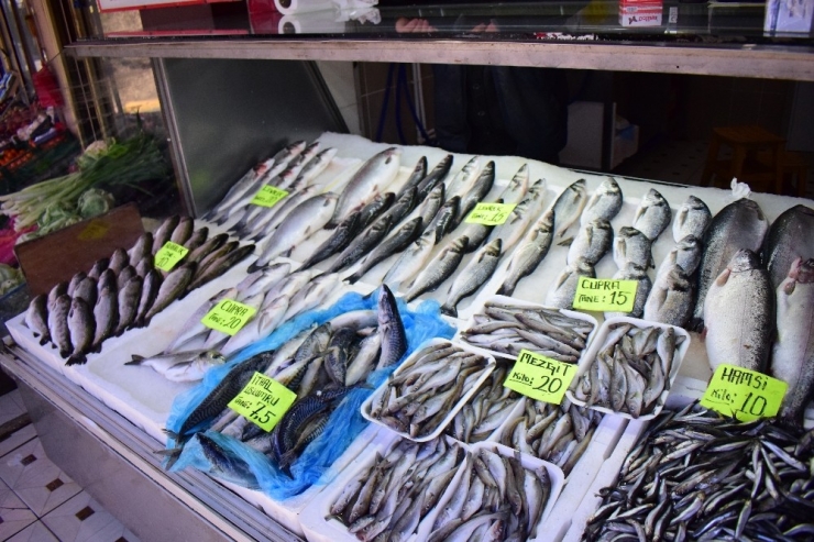 Denizlerde Av Yasağı Başlıyor