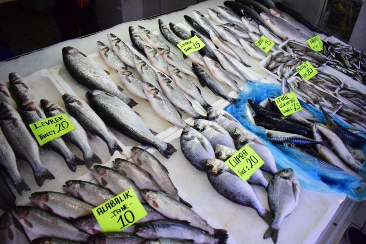 Denizlerde Av Yasağı Başlıyor