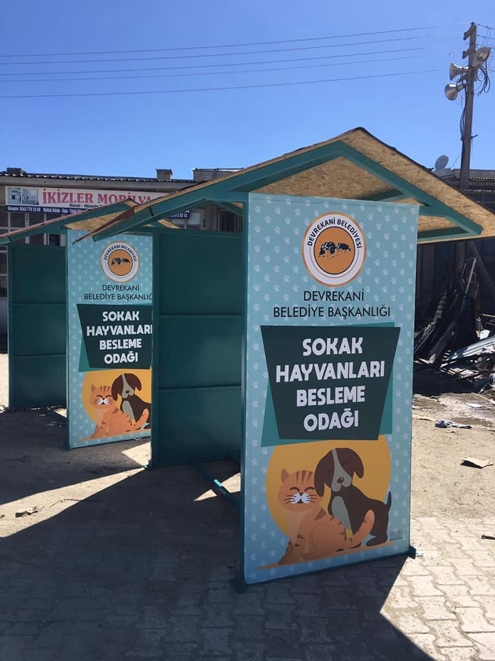 Devrekani’de Sokak Hayvanları İçin Beslenme Odakları Oluşturdu