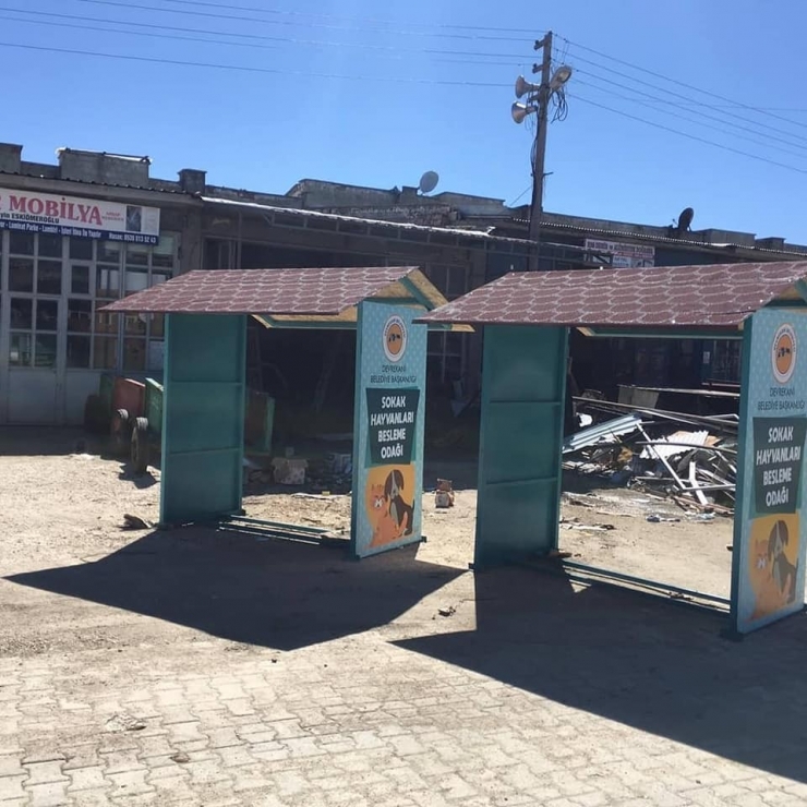 Devrekani’de Sokak Hayvanları İçin Beslenme Odakları Oluşturdu