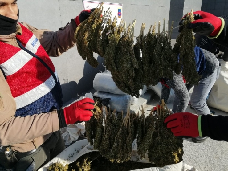 Diyarbakır’da Dur İhtarına Uymayan Araçtan 305 Kilogram Esrar Çıktı