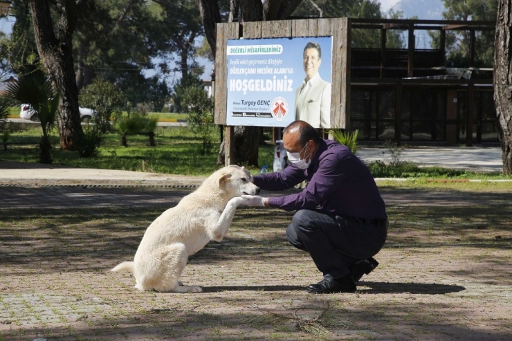 Döşemealtı’nda Sokak Hayvanlarının Su Ve Mama Kapları Arttırıldı