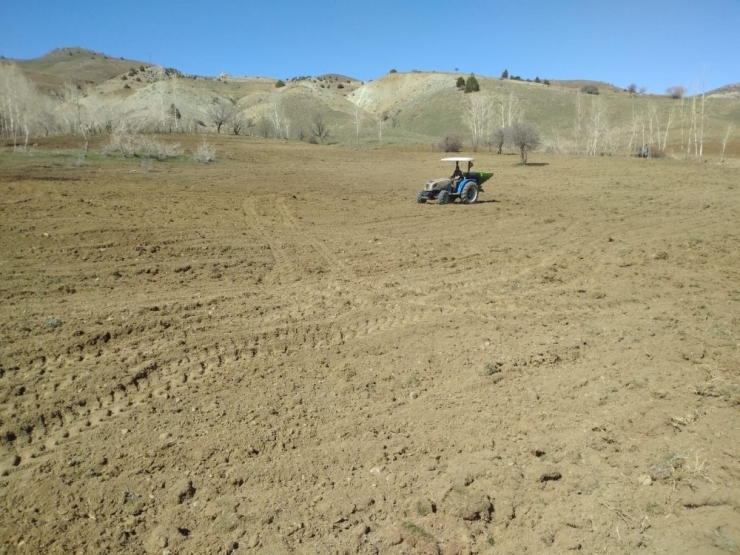 Erzincan’da Yüzde 75 Hibeli Tohum Dağıtımına Başlandı