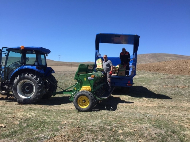 Erzincan’da Yüzde 75 Hibeli Tohum Dağıtımına Başlandı
