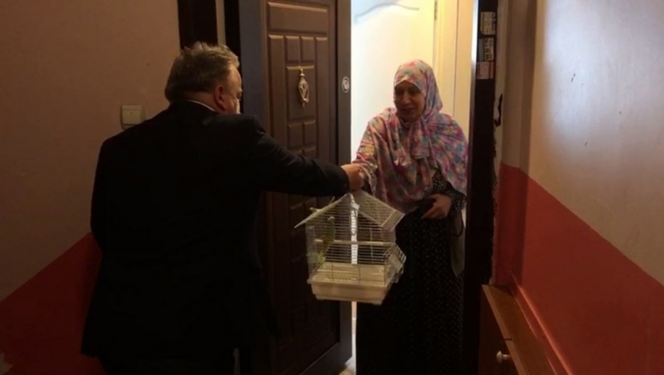 Evinden Çıkamayan 65 Yaşındaki Fatma Teyzeye Muhabbet Kuşu Sürprizi