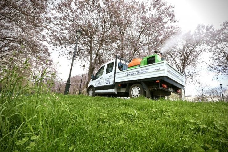 Gaziantep’te Sinek Ve Haşerelere Mücadele