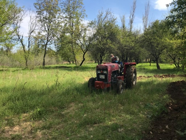 Jandarma Yaşlı Kadının Bahçesini Sürdü