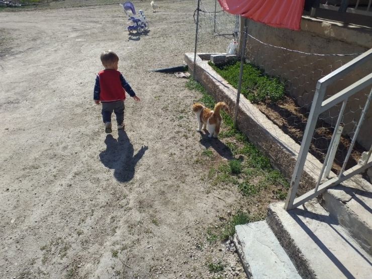 Karantina Döneminde Köydeki Çocuklar Kent Merkezlerinden Daha Şanslı