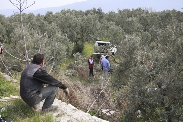 Bariyerlere Çarpıp Zeytinliğe Uçtu