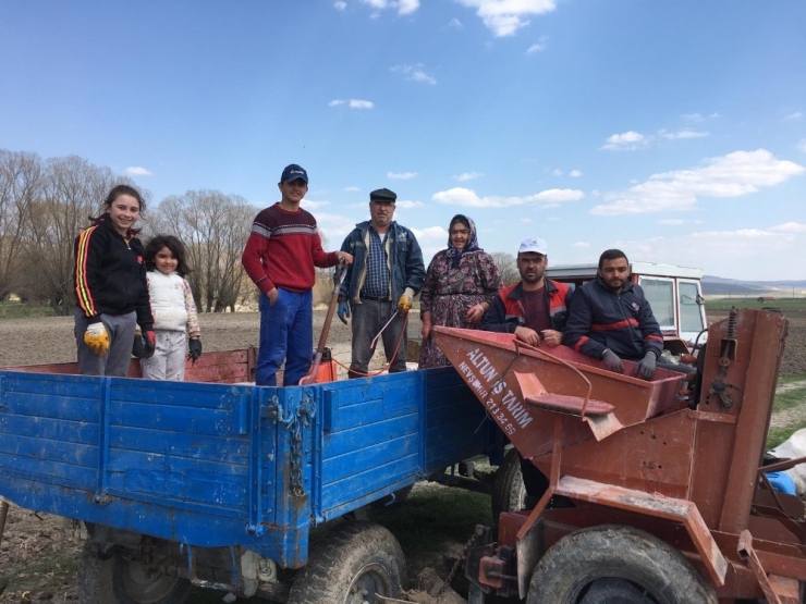 Seyitgazili Çiftçiler Patates Ekimine Başladılar