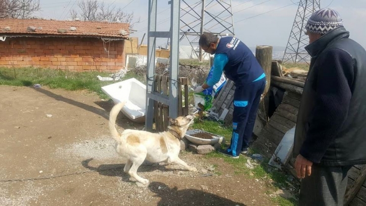 Sincan’da Her Gün 15-25 Bölgeye Mama Ve Su Bırakılıyor