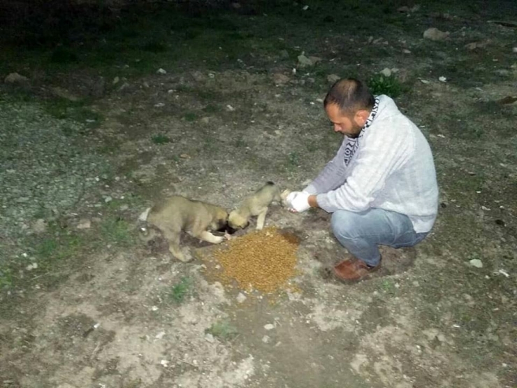 Sincan’da Her Gün 15-25 Bölgeye Mama Ve Su Bırakılıyor