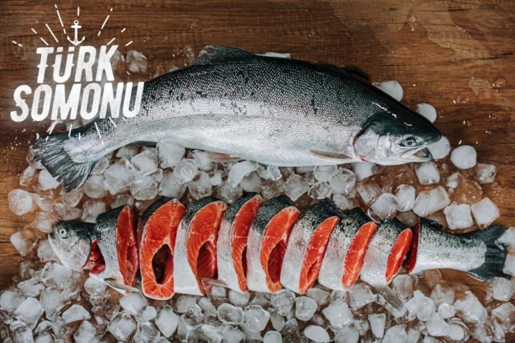 Covid-19’a Karşı İkinci Balık Tüketim Kampanyası Başlıyor