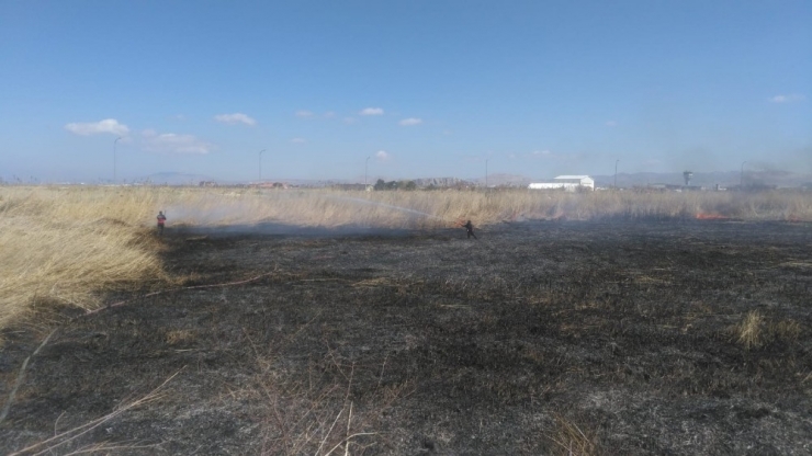 Van Gölü Kenarındaki Sazlık Alan Alev Alev Yandı