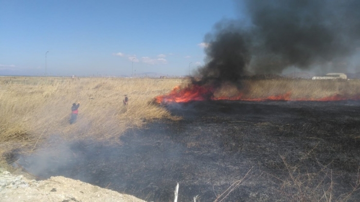 Van Gölü Kenarındaki Sazlık Alan Alev Alev Yandı