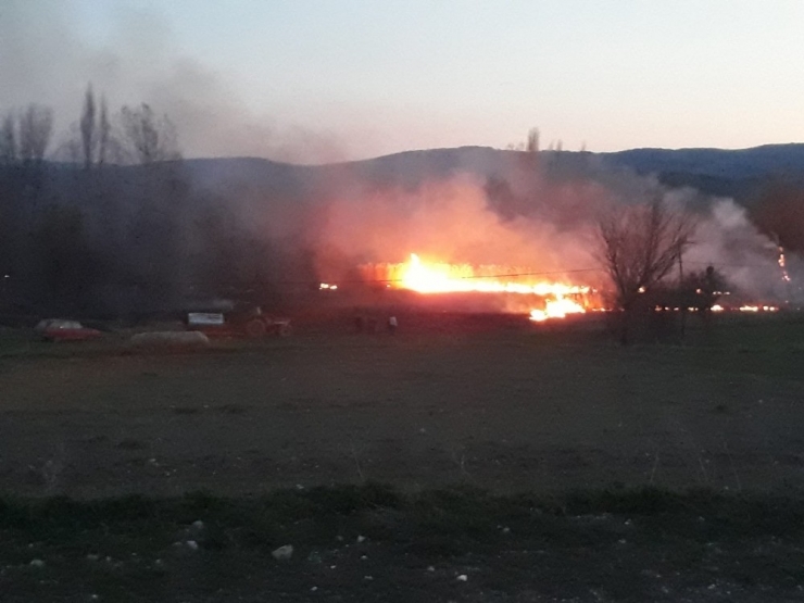 Yanan Otlar Ormana Sıçramadan Söndürüldü