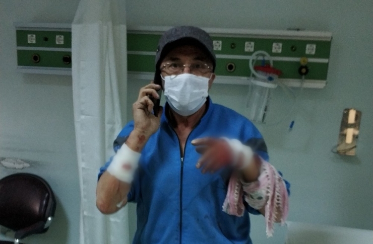 Köpek, Sahibini Hastanelik Etti