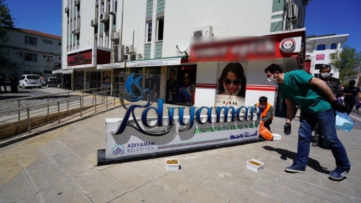 Sokak Hayvanlarına Mama Verildi