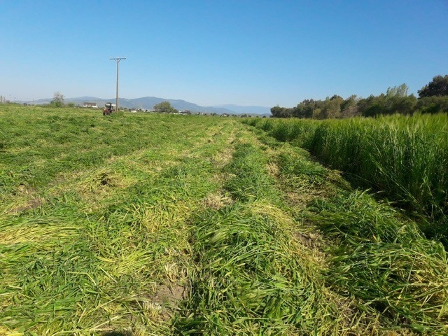 Adü Ziraat Fakültesi Toprak İşleme Ve Ekim Hazırlıklarına Başladı