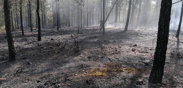 Kaş’ta Orman Yangını