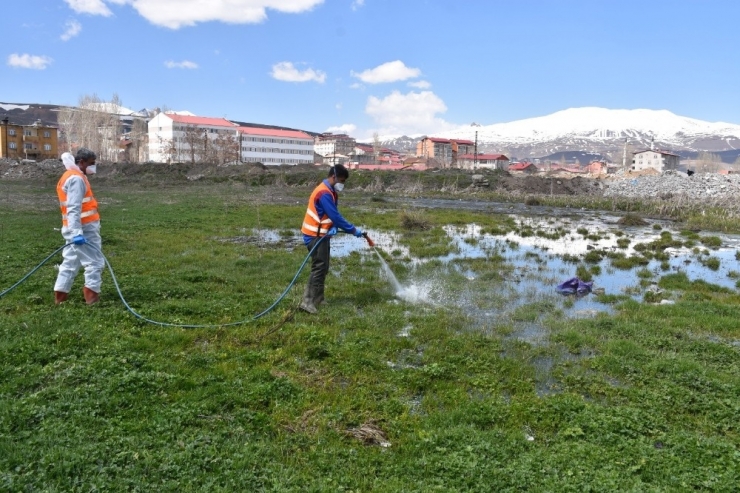 Tatvan Belediyesi Larva Üreme Noktalarını İlaçlıyor