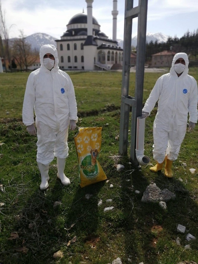 Doğanşehir’de Sokak Hayvanları Unutulmadı