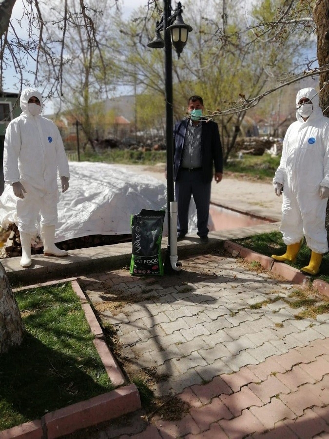 Doğanşehir’de Sokak Hayvanları Unutulmadı