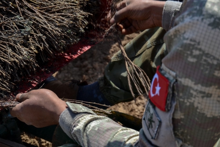 Edirne’de Lavanta Ekimi Yapıldı