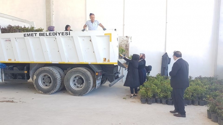 Emet Sokakları Çiçek Bahçesi Olacak