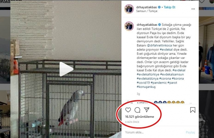 Papağandan “Evde Kal” Çağrısı