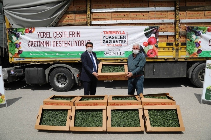 Korona Günlerinde Çiftçi Unutulmadı