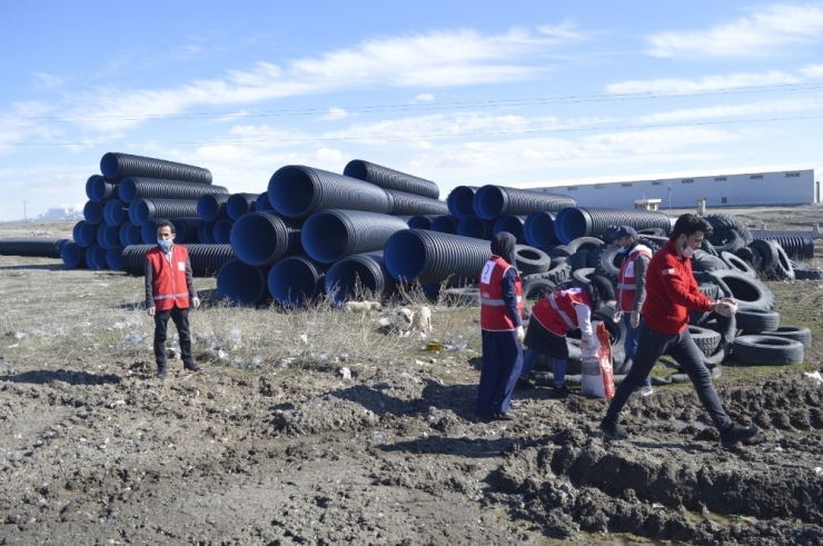 Genç Kızılay Gönüllüleri, Sokak Hayvanlarını Unutmadı