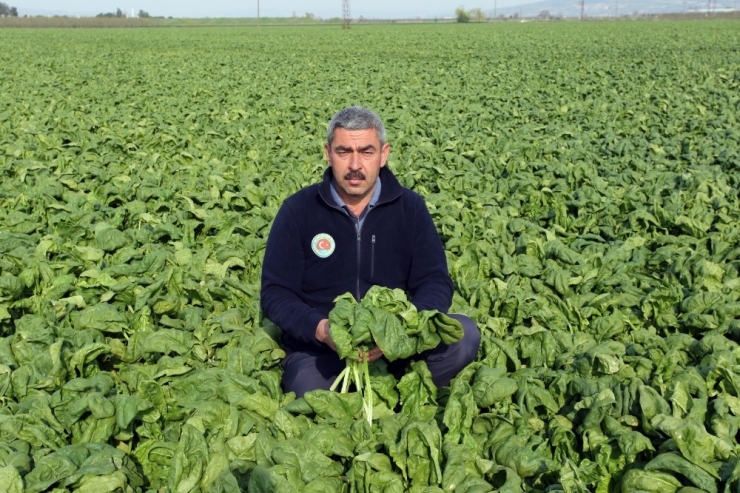 Korona Virüse Rağmen Üretimi Tam Gaz Ama Üretici Hayli Dertli