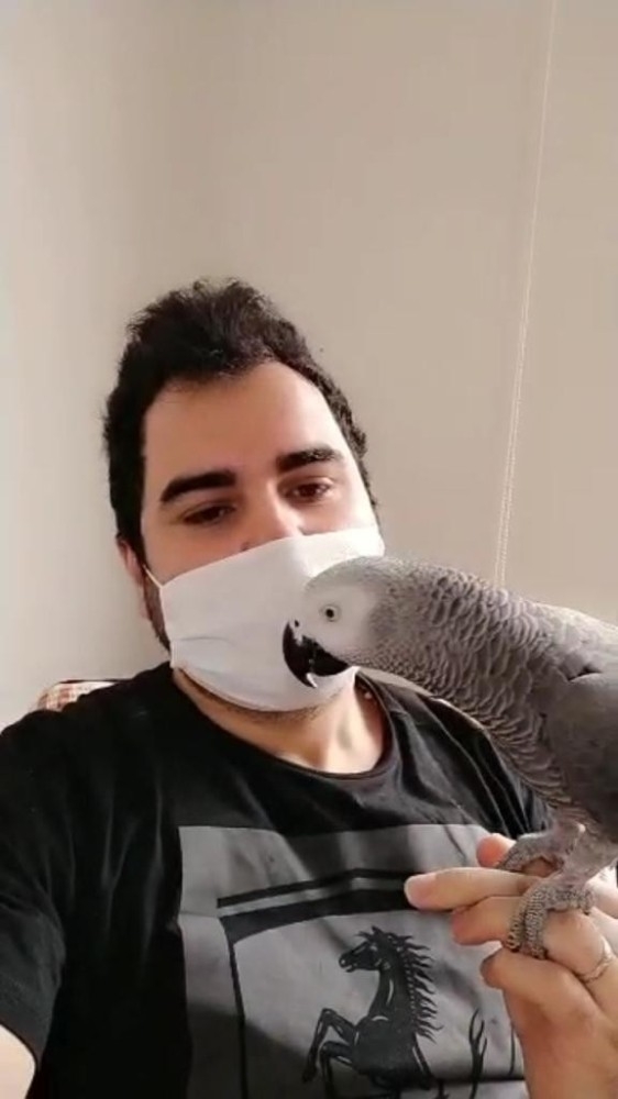 Sahibi Korona Virüse Yakalanan Papağan Pakize: “Evden Çıkma, Evde Kal”