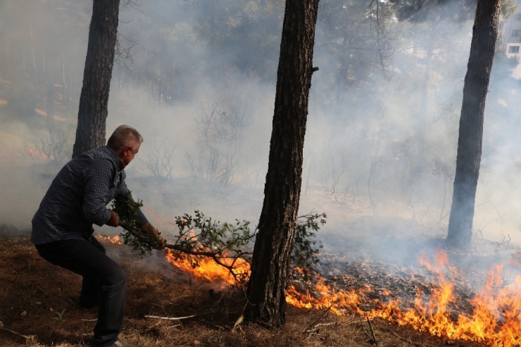 Orman Yangınını İtfaiye Ve Vatandaşlar Söndürdü