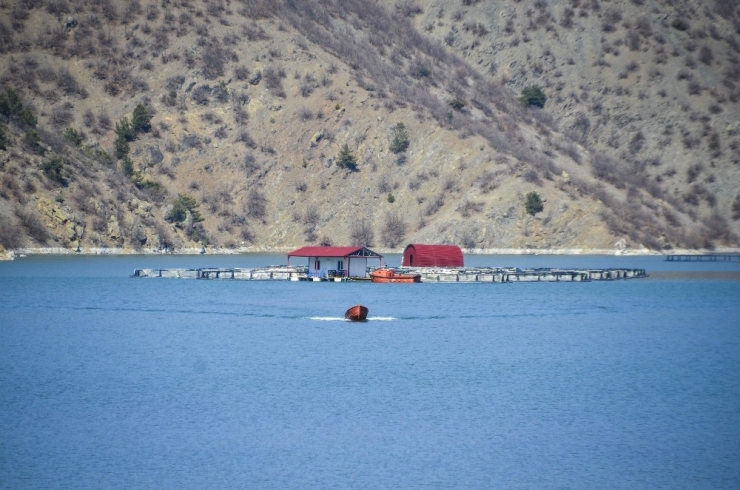 Alabalık Tesisinden 300 Kg Balık Çaldılar