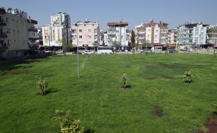 Kepez Belediyesinden, Kuzeyyaka’ya Portakal Kokulu Bahçe