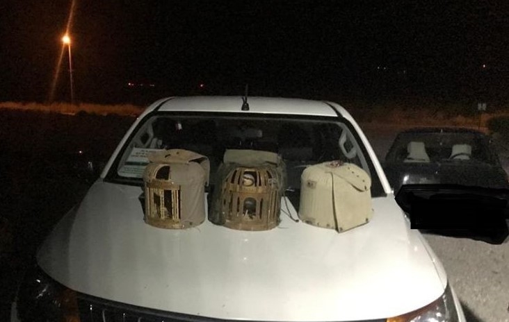 Kırıkkale’de Kaçak Avcılara 9 Bin 700 Lira Ceza