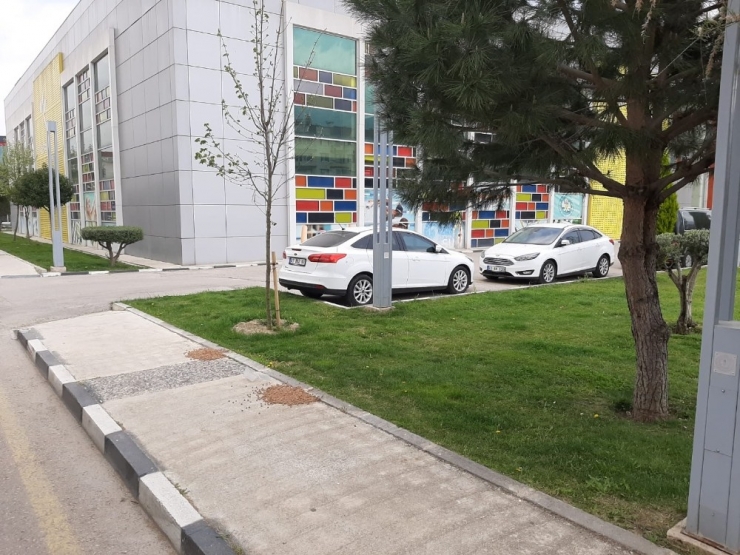 Sokak Hayvanlarına Şefkat Eli