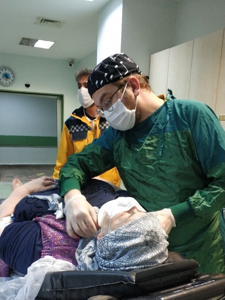 Köpek, Sahibini Hastanelik Etti