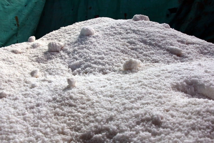 Korona Virüs Tuz Satışlarını Vurdu