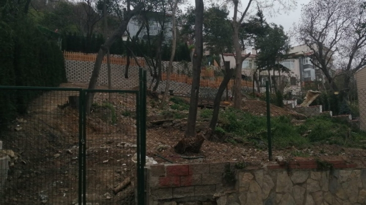 İletişim Başkanı Fahrettin Altun’a Ünlü Sanatçı Şükriye Tutkun’dan Destek