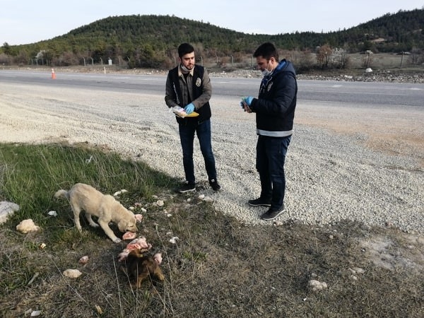 Uygulama Noktasına Gelen Yavru Köpeklere Polisler Sahip Çıktı