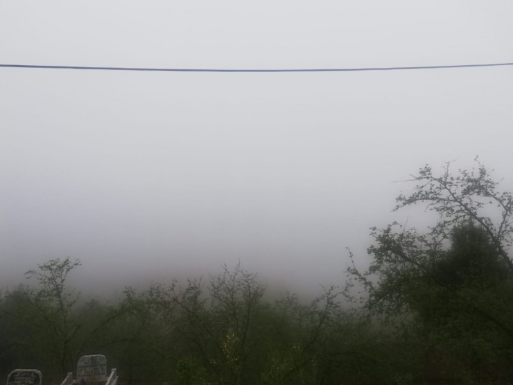 Zonguldak’ta Sis Etkili Oldu